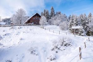 Alpine Lodge Goška Ravan