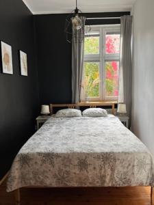 Apartament Zielony Bluszcz