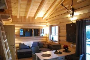 Karwendel Apartments - 斯卡尔尼茨