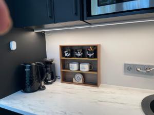 Puiestee apartment