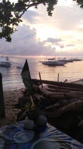 Shirleys Cottage Rental