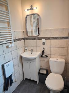 Apartament Alpejski Duży