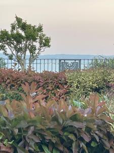 Lake Garda