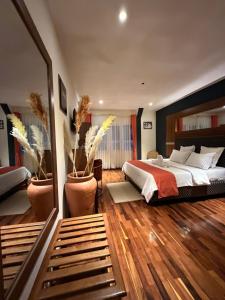 Callistemon Hôtel