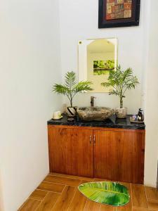 Đường Lâm Homestay - Elephants House