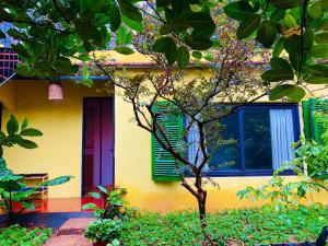 Đường Lâm Homestay - Elephants House