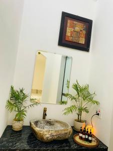 Đường Lâm Homestay - Elephants House