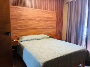 Central Apartment in Dgo