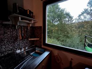 UNDER THE GREEN ROOF