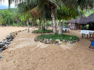 Djema Forest