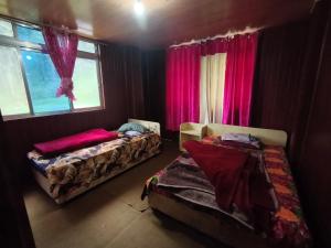 Cloud and Pine Homestay