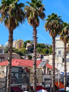 Star Apartment 2- Spacious in the heart of Durres