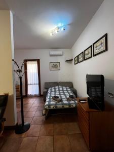 BiBi APARTMENT- FREE PARKING-OSPEDALE MAGGIORE-STADIO-MAST