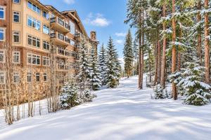 The Timbers Ski-In, Ski-Out 1 Bedroom Plus Murphy
