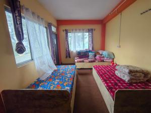 Cloud and Pine Homestay