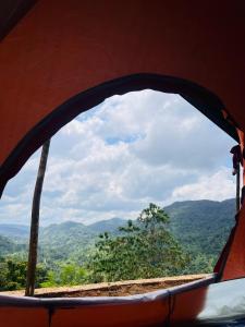 Sinharaja Eco Camp