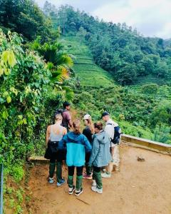 Sinharaja Eco Camp