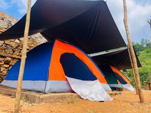 Sinharaja Eco Camp