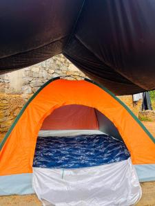 Sinharaja Eco Camp