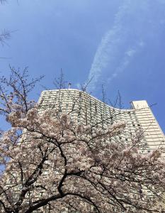 Hilton Tokyo Hotel