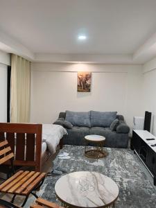 Danaff Tower apartment