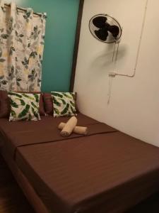 Toms Hostel