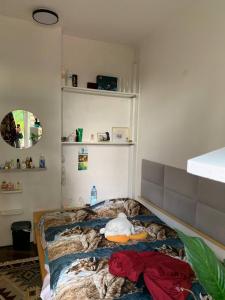 cheap apartment at Piotrkowska street
