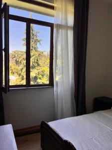 Chakvi Citrus Villa