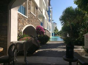 The Chelona pool access by Away