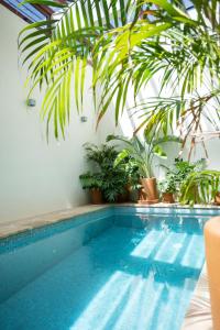 Corazante Hotel Gallery