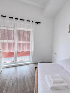 Plant apartment- mangalem 21