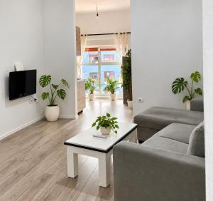 Plant apartment- mangalem 21