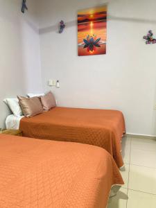 Casita Cocoa