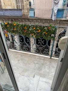 Appartement cœur de Alger