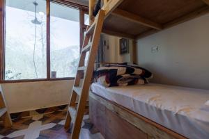 AmigosIndia Kasol