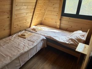 Ilija spa