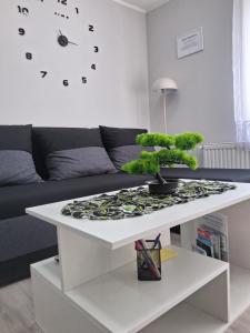 Zenit Apartman