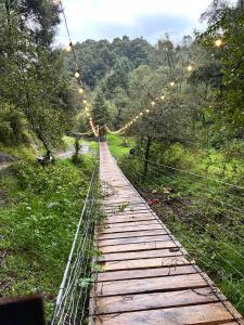 Campamento Rio De La Felicidad By GEstores