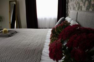 Viduma apartamenti