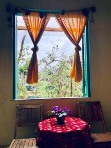 Về Nhà Homestay