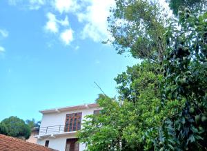 Villa 291