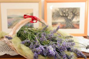 Apartment Patricija 1208