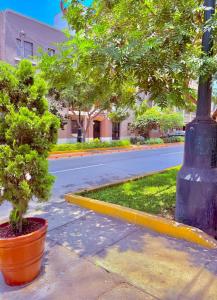 Acogedor departamento