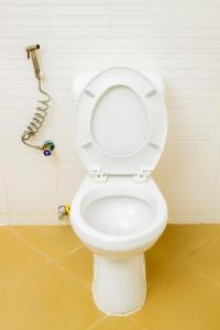 The wilolesi haven