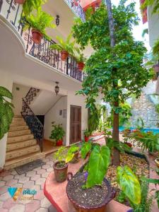 Caribbean Family Escape 2BR Close 5th av and Beach Rooftop hotel