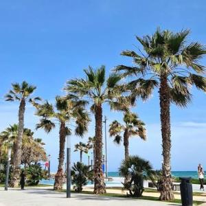 Torrevieja CityCenter Playa Cura & Locos 6min walk Apartment