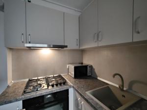 Garsoniera nouă