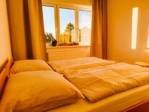 Comfort Home