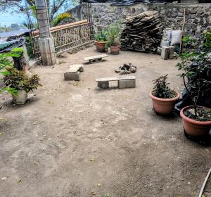 Casa Jaguar - Treehouse experience