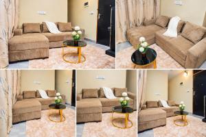 Rich Comfort Home
